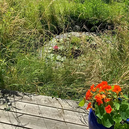 Casa vacanze Renovated With Sea View On Agerso Skælskør