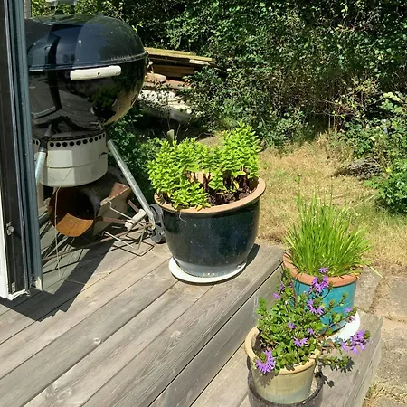 Renovated With Sea View On Agerso